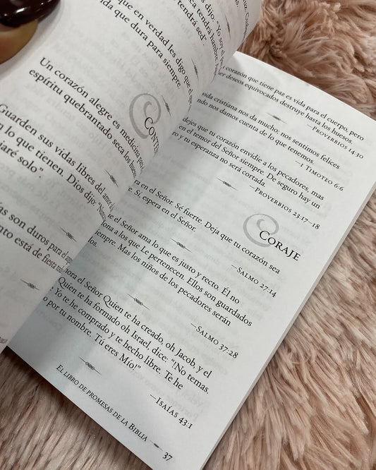 El libro de promesas de la biblia