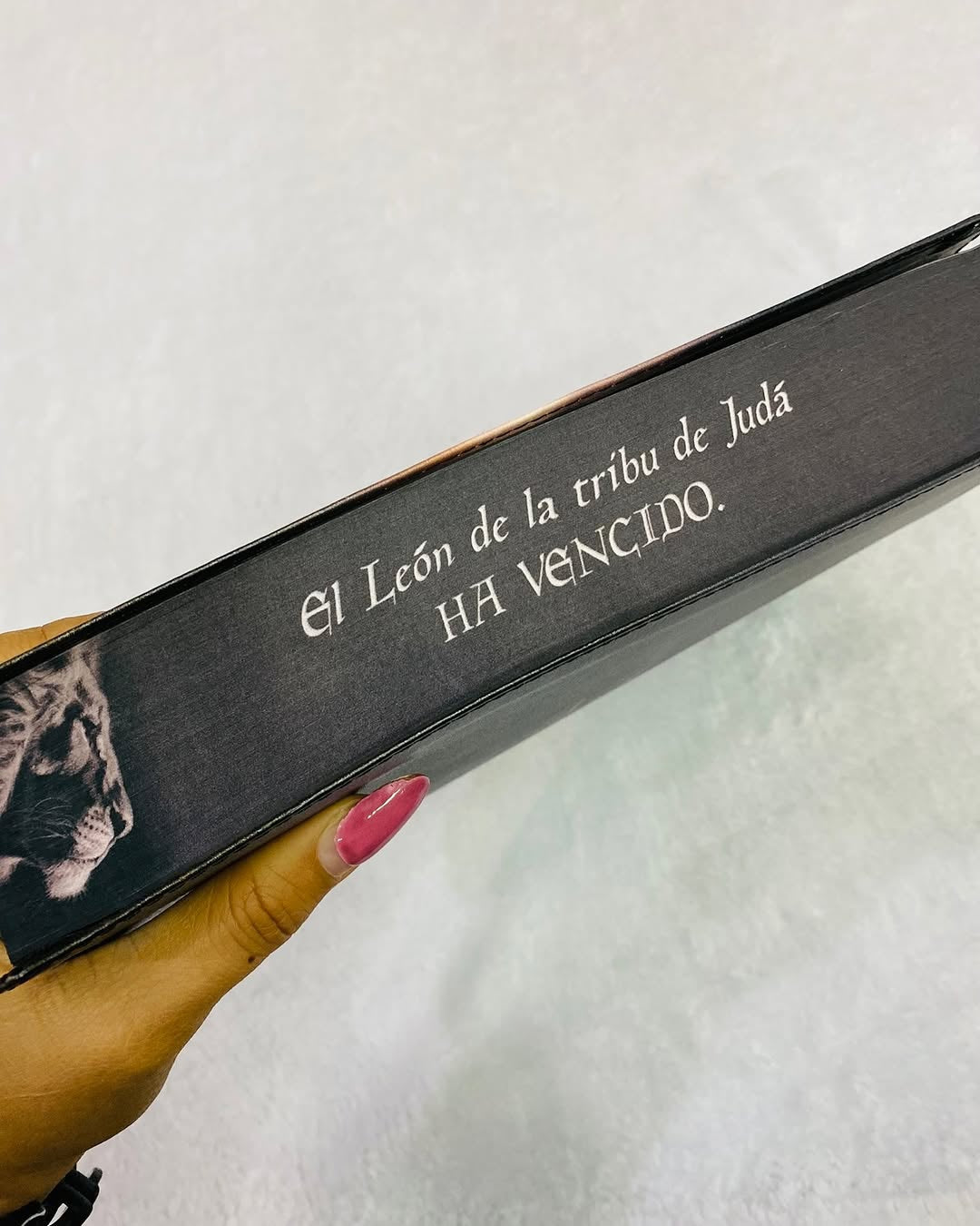 Biblia letra gigante 19 puntos versión 1960 canto pintado con concordancia