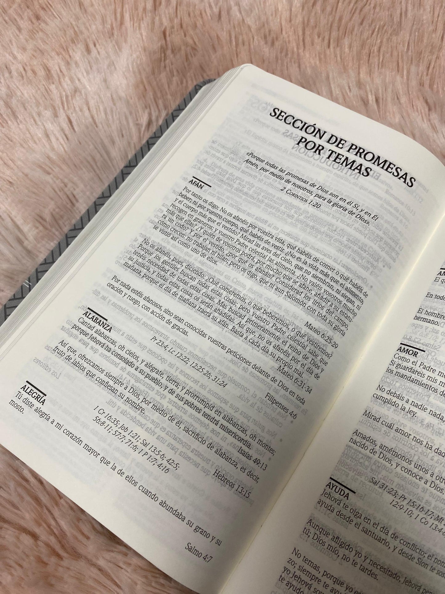 Biblia de promesas letra grande 12 puntos canto plateado versión RV1960