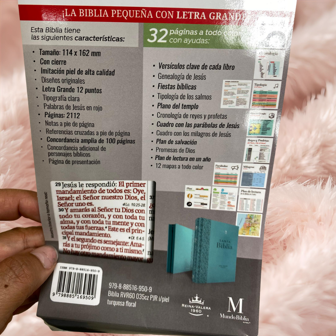Biblia letra grande letra 12 puntos con canto plateado cierre y concordancia