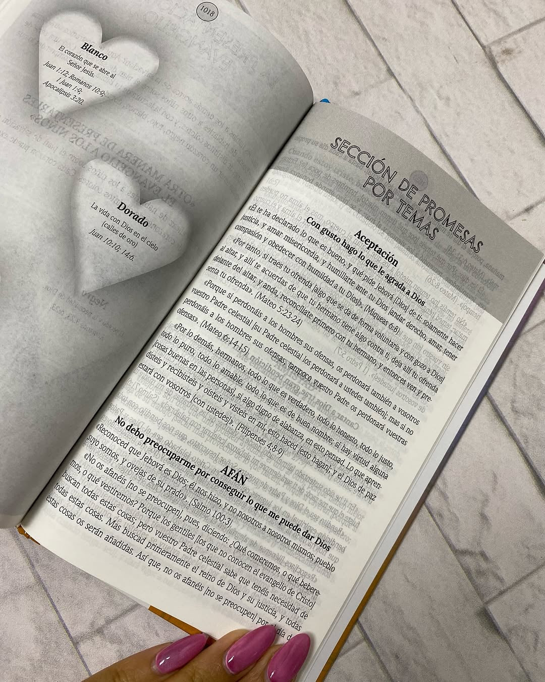 Biblia de promesas para niños ilustrada en tapa dura versión RV60