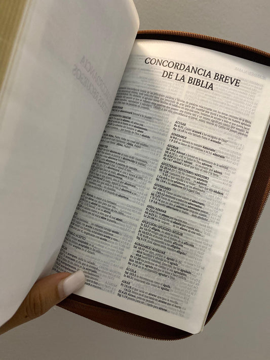 Biblia símil piel edición promesas con cierre canto dorado versión RV1960 letra grande 12 puntos con concordancia