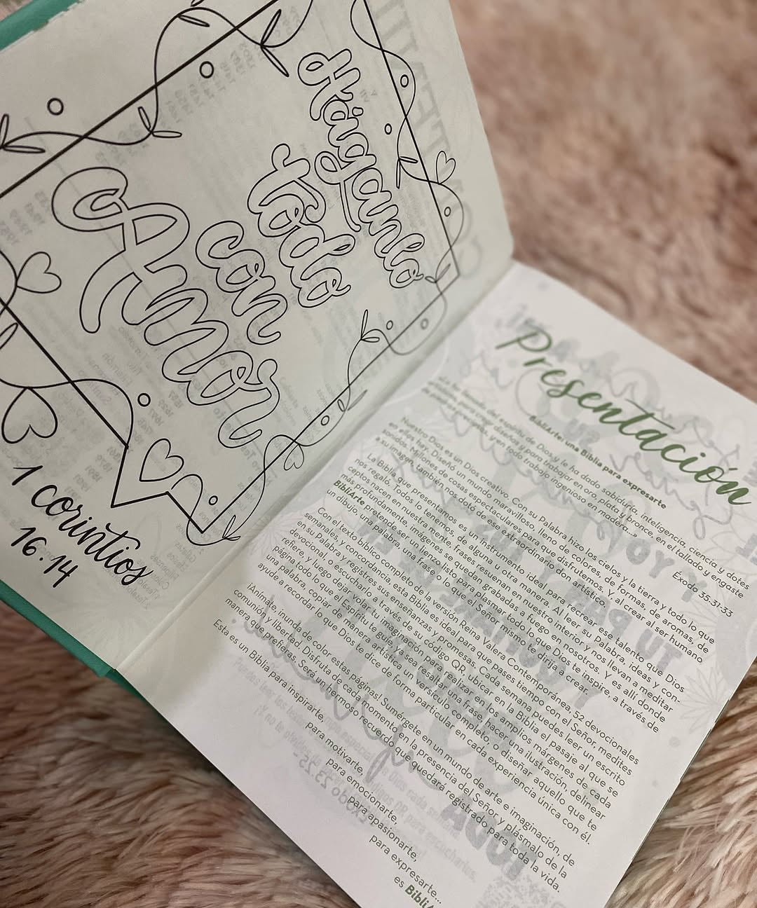Biblia artística de apuntes con ilustraciones y devocionales para un año en versión RVC letra mediana