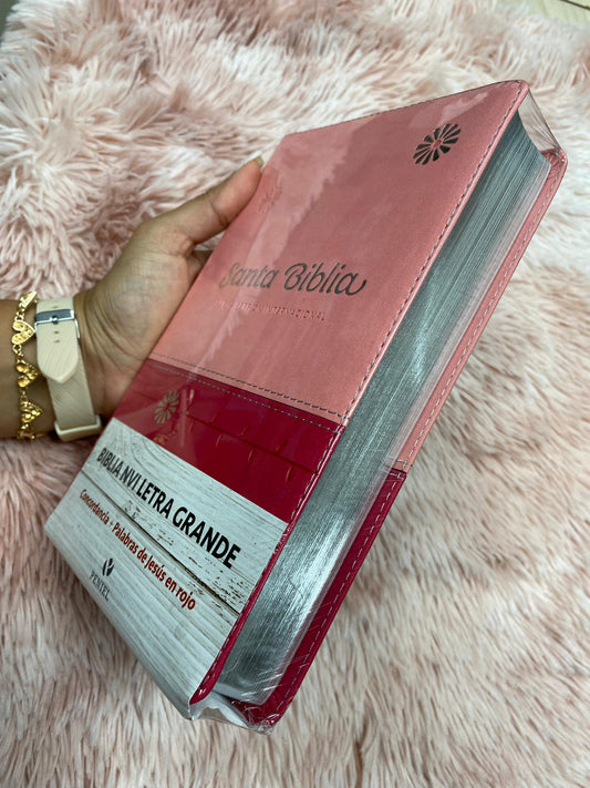 Biblia letra grande 11 puntos versión NVI canto plateado en símil piel con concordancia