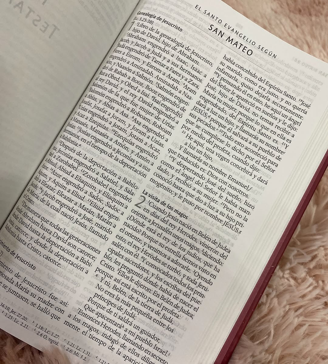 Biblia tapa dura de corazón letra grande 10 puntos versión RV1960 con concordancia