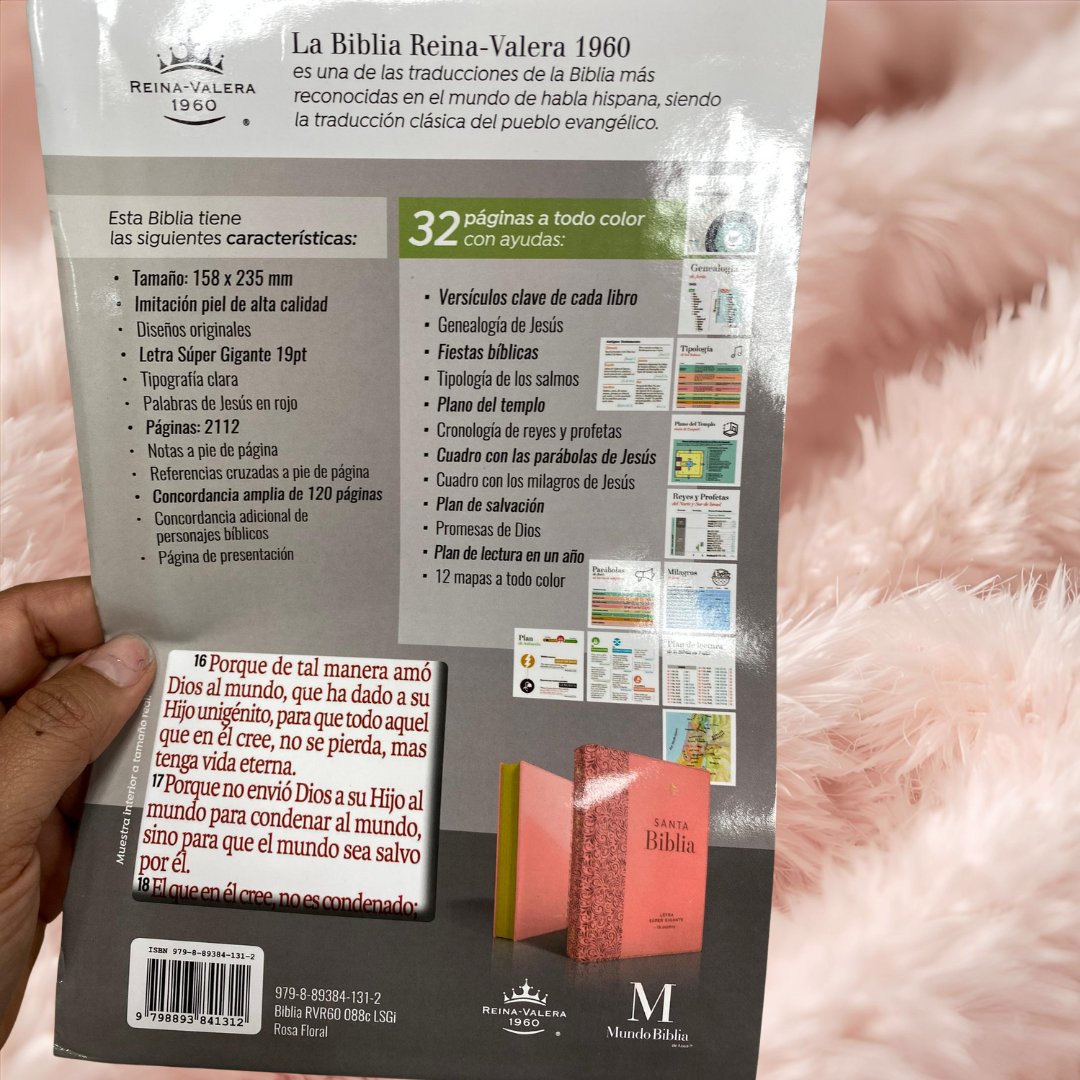 Biblia letra gigante 19 puntos en versión RV60 con canto dorado y concordancia