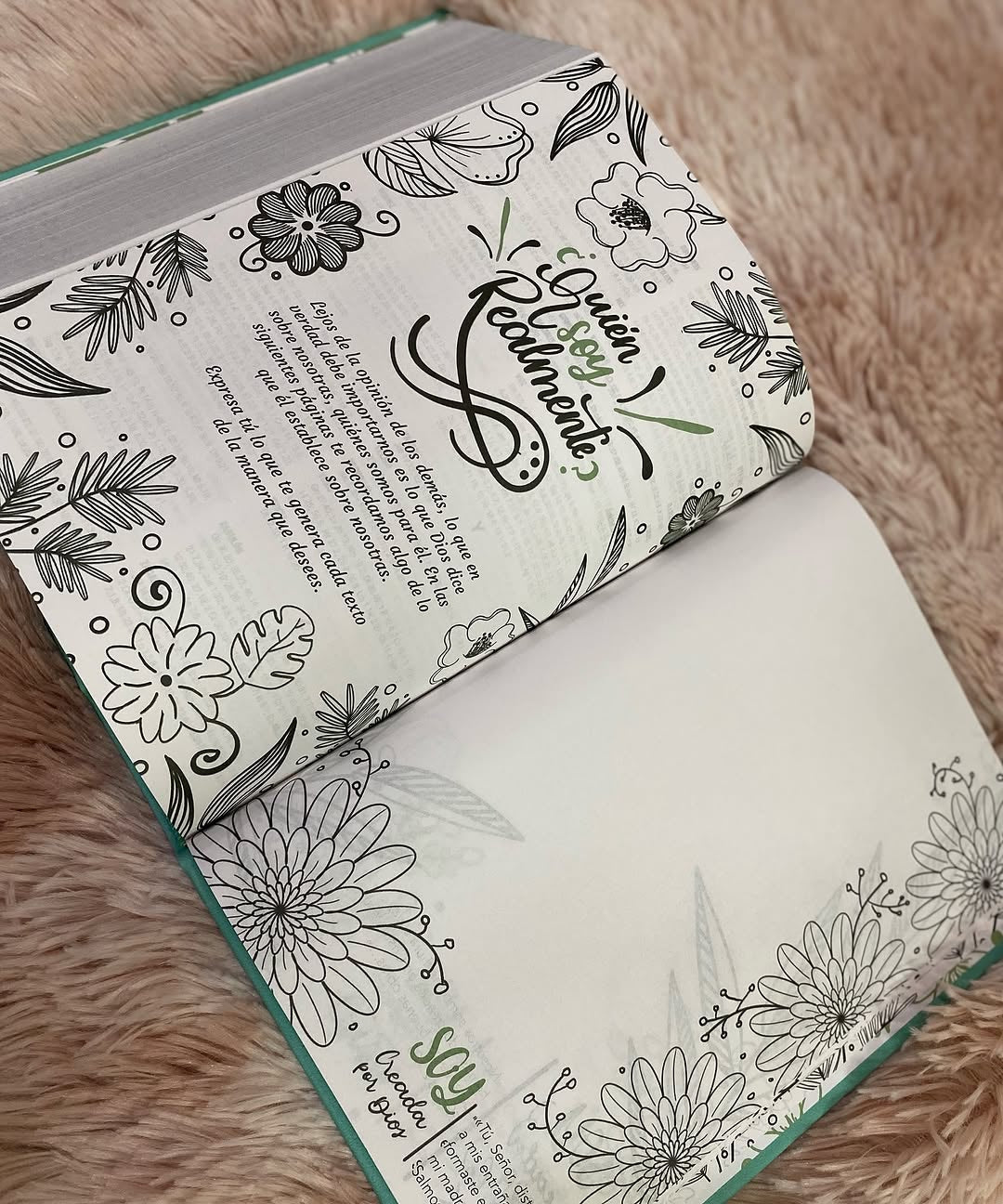 Biblia artística de apuntes con ilustraciones y devocionales para un año en versión RVC letra mediana