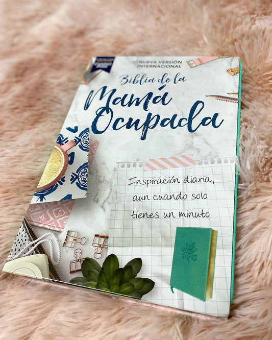 Biblia con devocional versión NVI símil piel canto plateado letra mediana