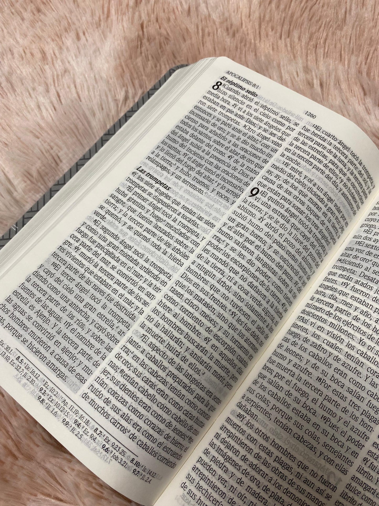 Biblia de promesas letra grande 12 puntos canto plateado versión RV1960