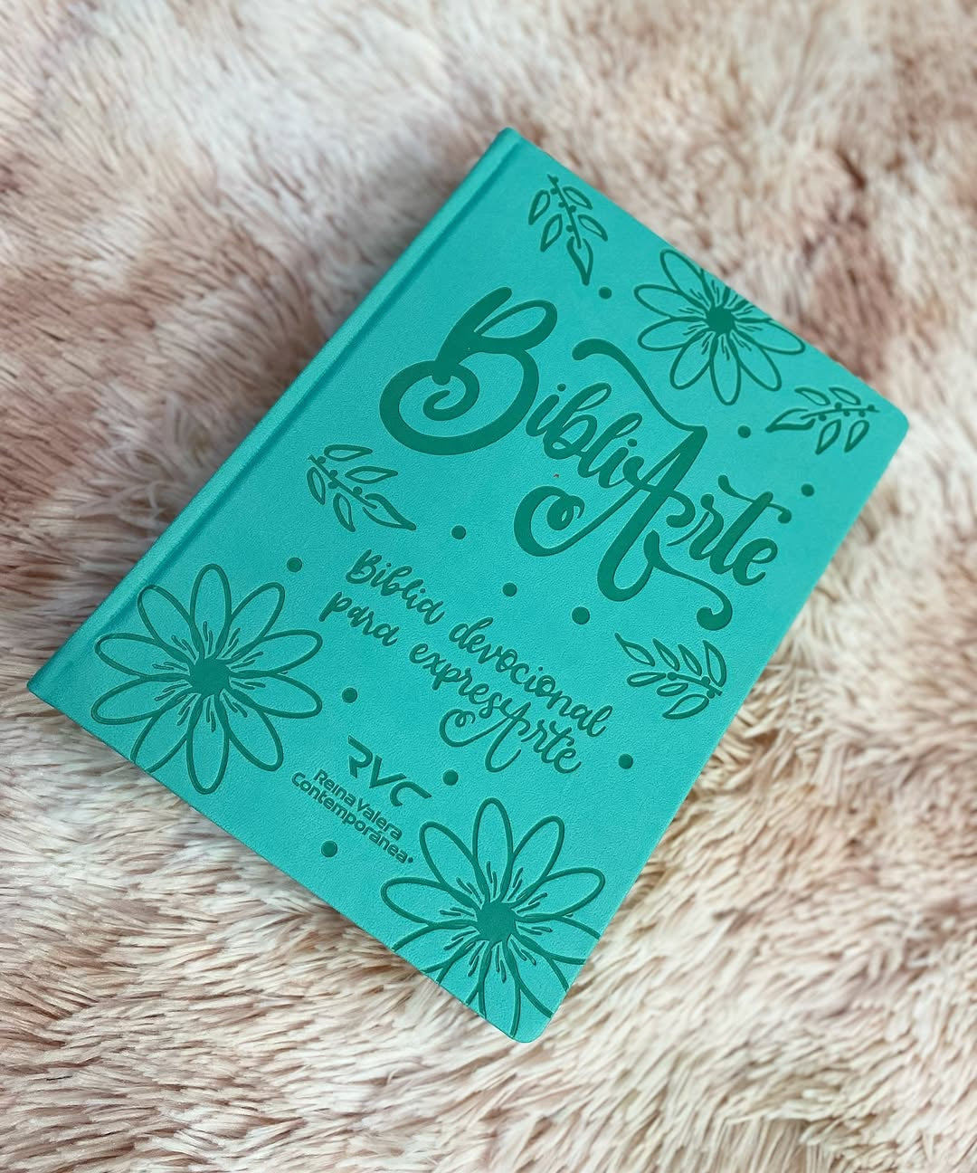 Biblia artística de apuntes con ilustraciones y devocionales para un año en versión RVC letra mediana