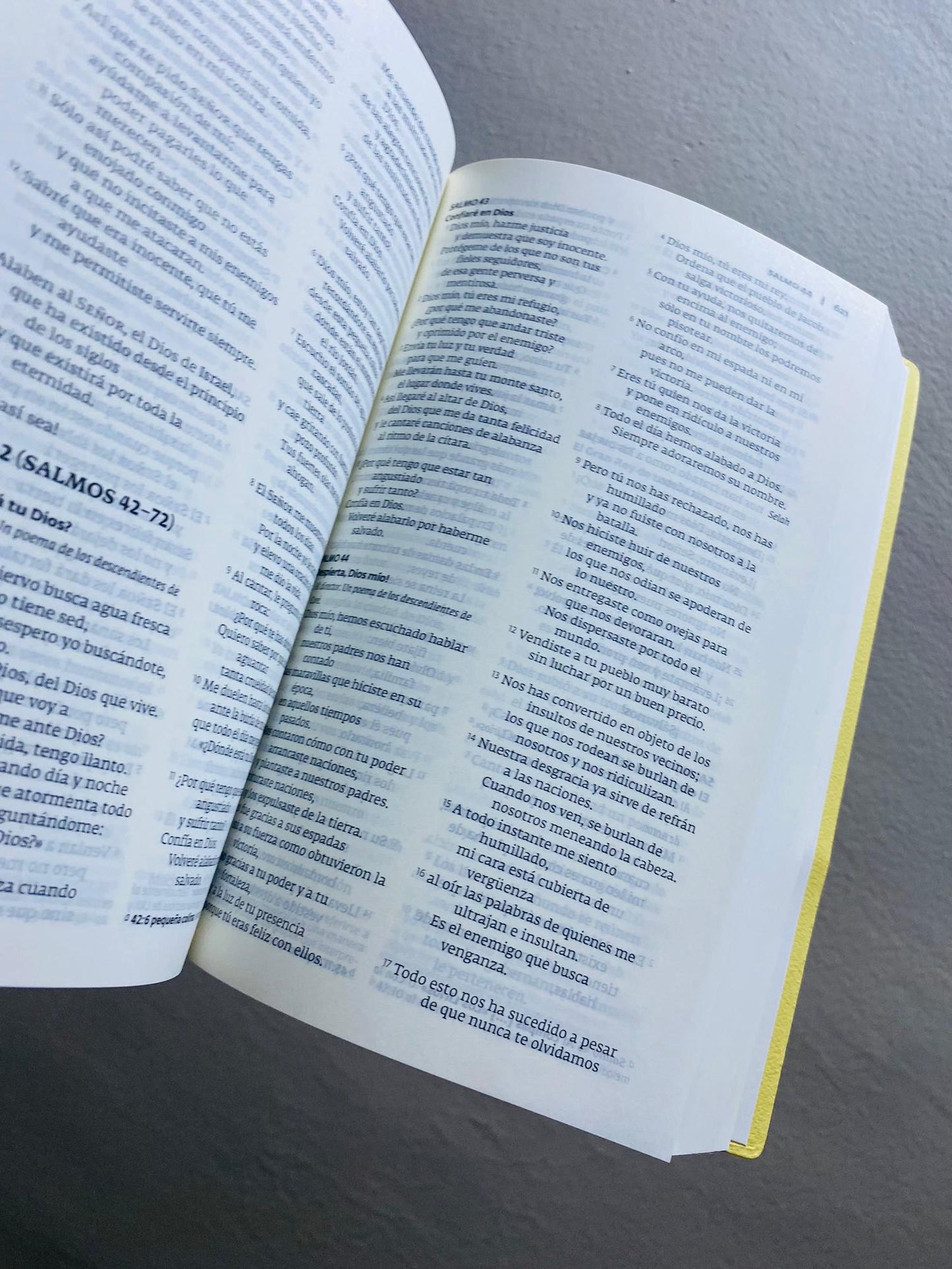 Biblia económica versión PDT: palabra de Díos para todos, letra mediana papel blanco