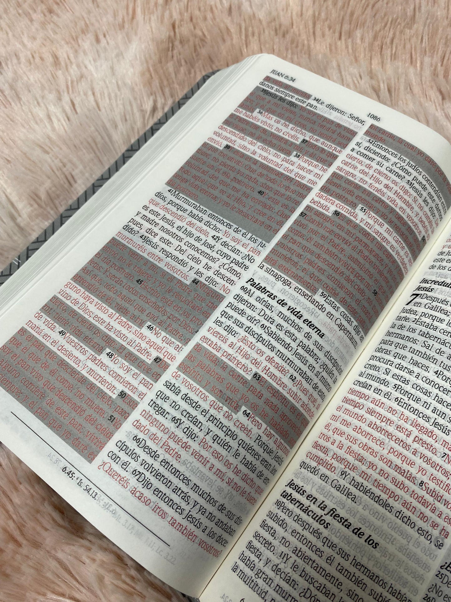Biblia de promesas letra grande 12 puntos canto plateado versión RV1960