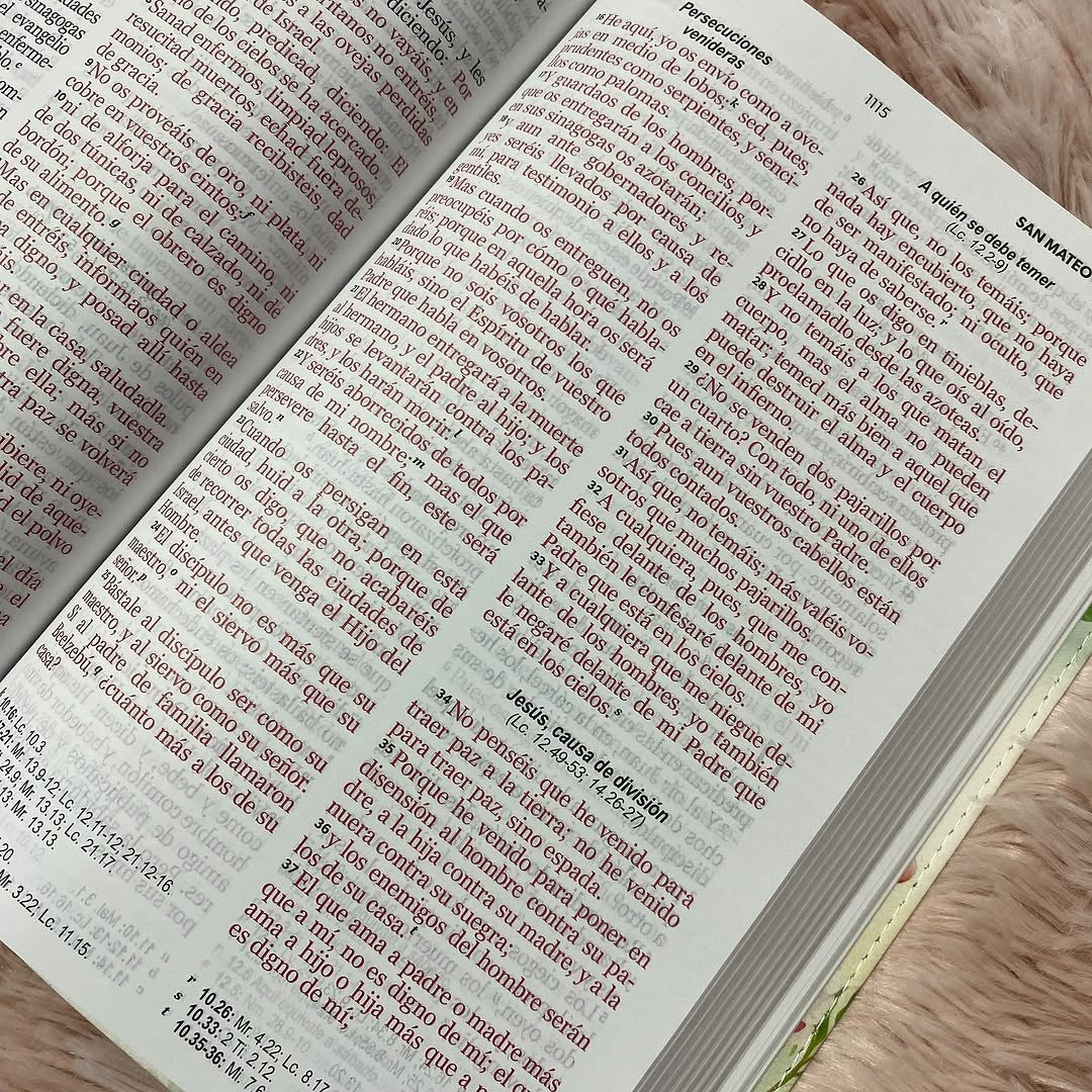 Biblia tamaño manual letra 12 puntos versión RV1960 con concordancia