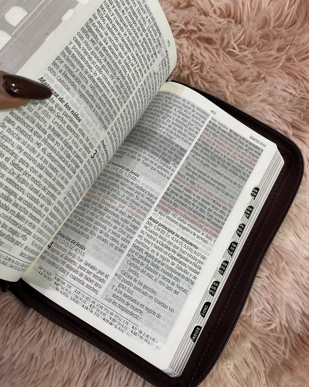 Biblia símil piel edición promesas letra grande 12 puntos versión RV1960 con índice y cierre y concordancia