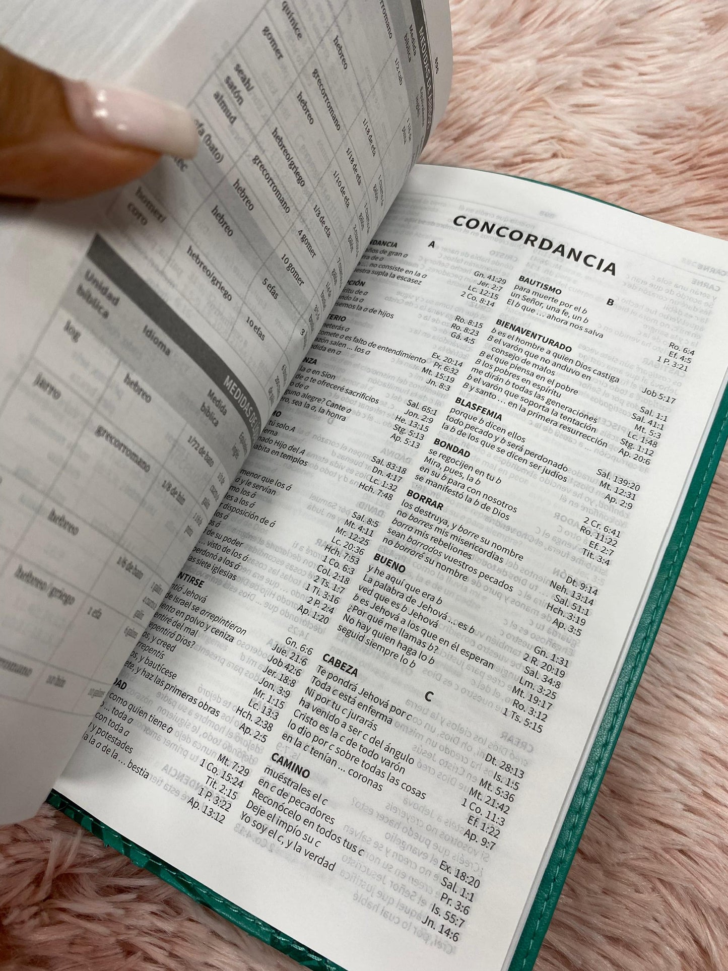 Biblia ultrafina versión RV1960 canto plateado letra pequeña 8,5 puntos concordancia y palabras de Jesús en rojo