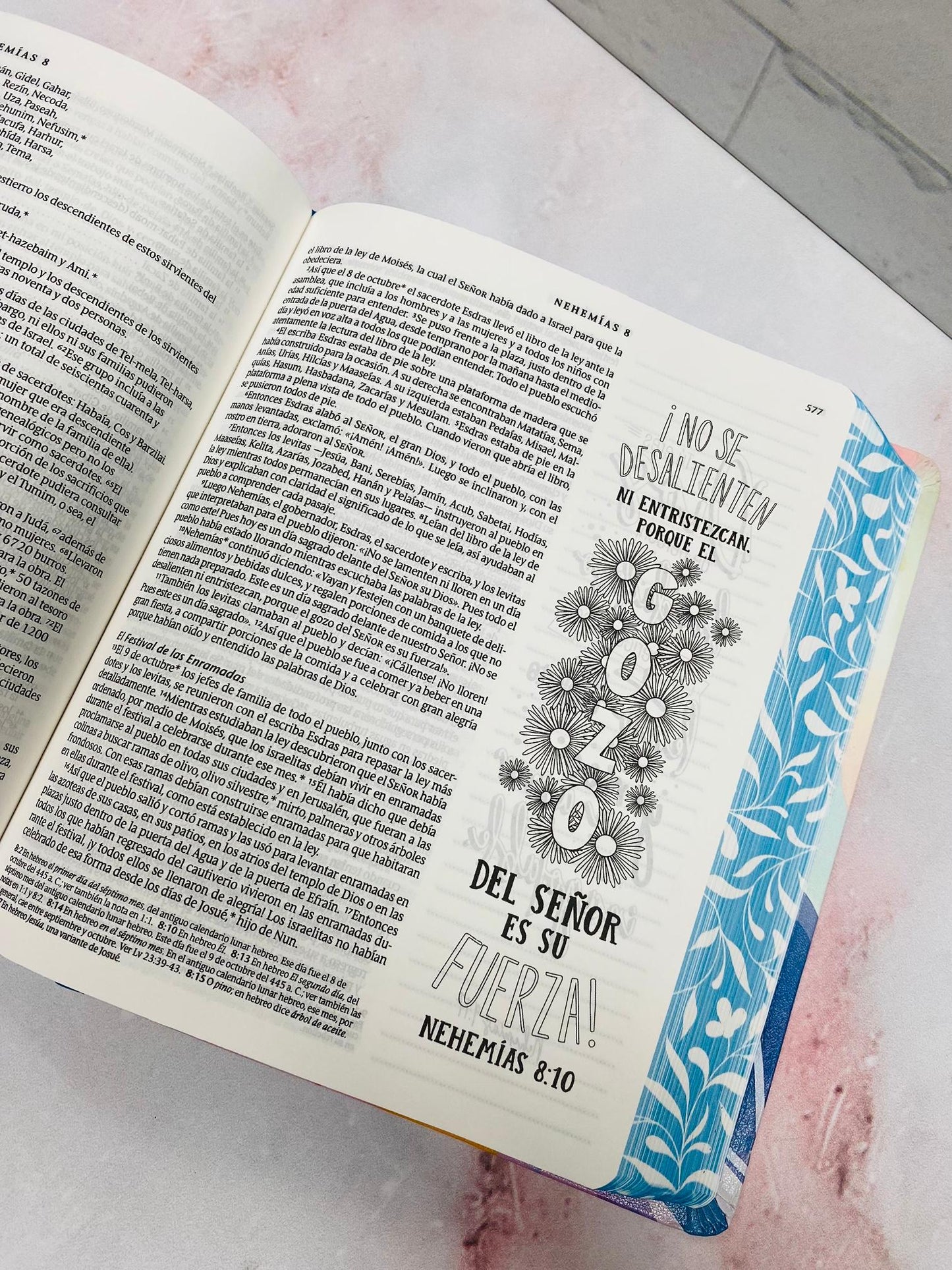 Biblia inspira artística de apuntes e ilustraciones versión NTV letra mediana