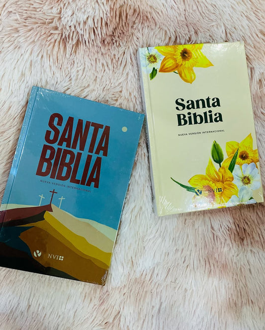 Biblia versión NVI tapa rústica letra mediana