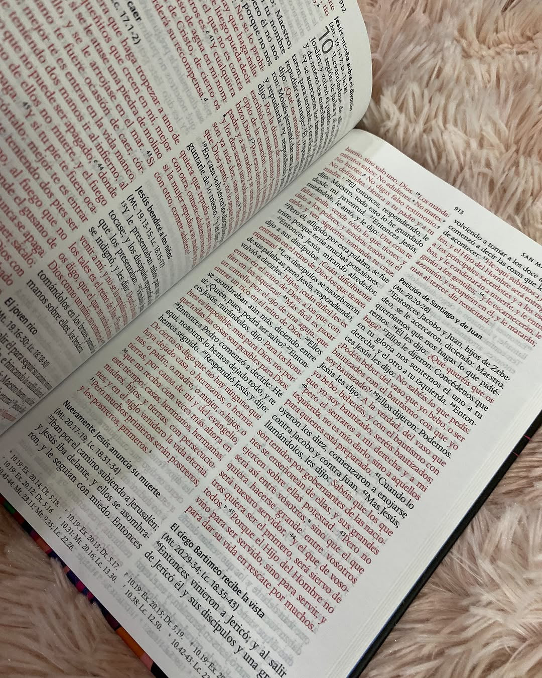 Biblia tapa dura letra grande 10 puntos león de Judá versión RV1960 con concordancia