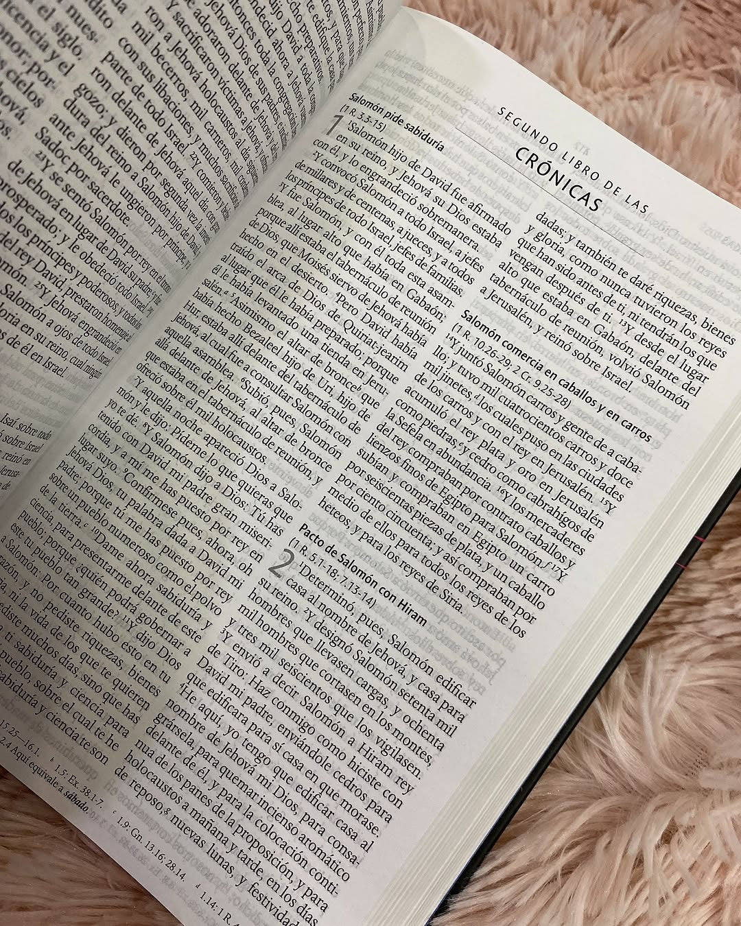 Biblia tapa dura león de Judá letra grande 10 puntos versión RV1960 con concordancia