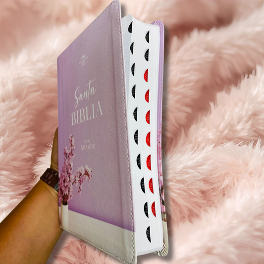 Biblia letra grande 12 puntos con índice versión RV60 y concordancia