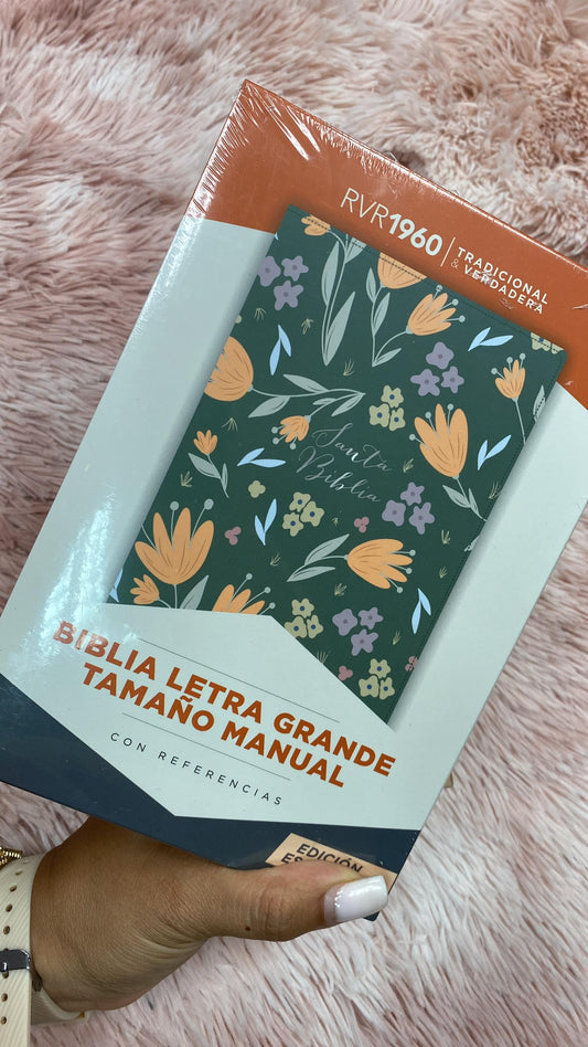 Biblia letra grande símil piel versión RV1960 con concordancia