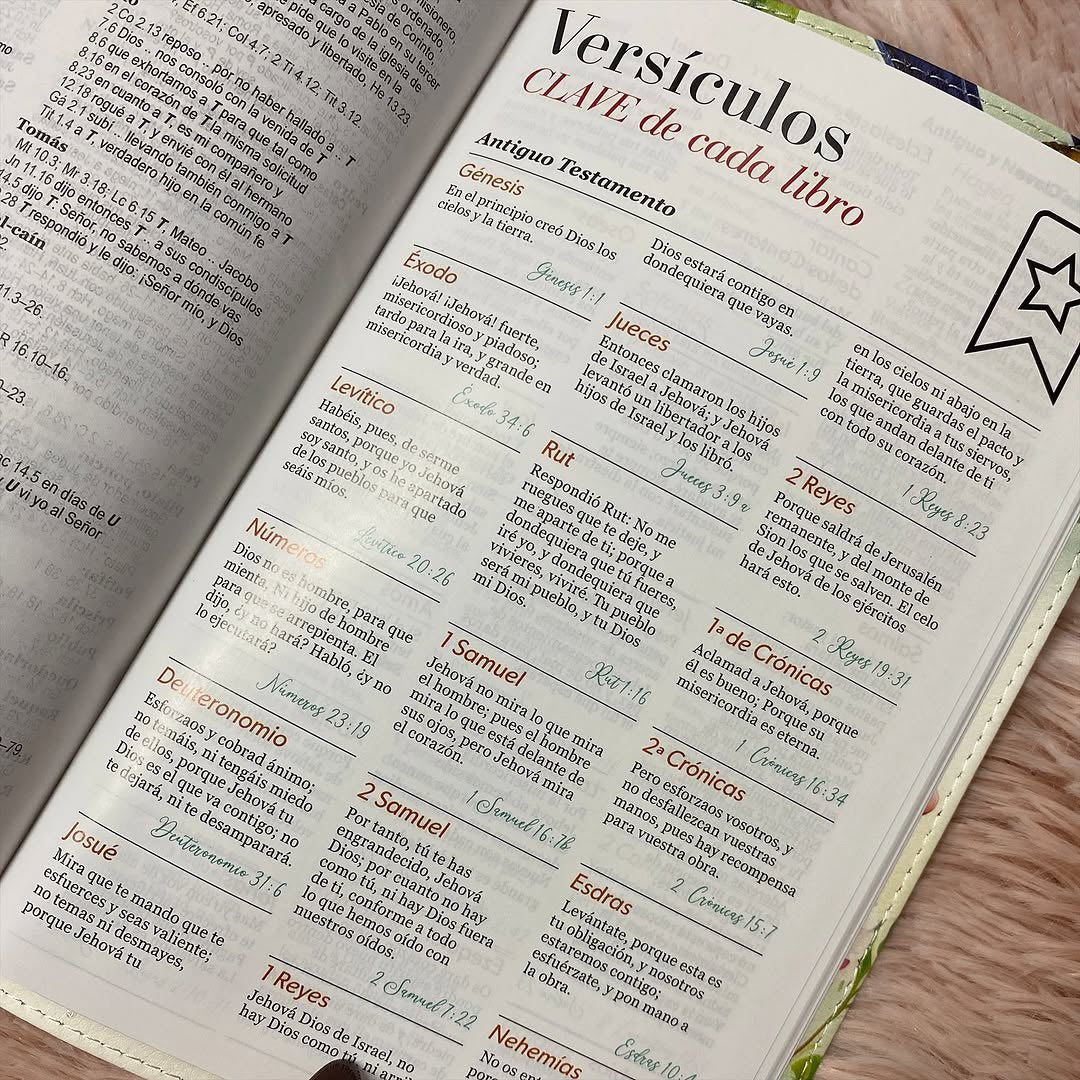 Biblia tamaño manual letra 12 puntos versión RV1960 con concordancia