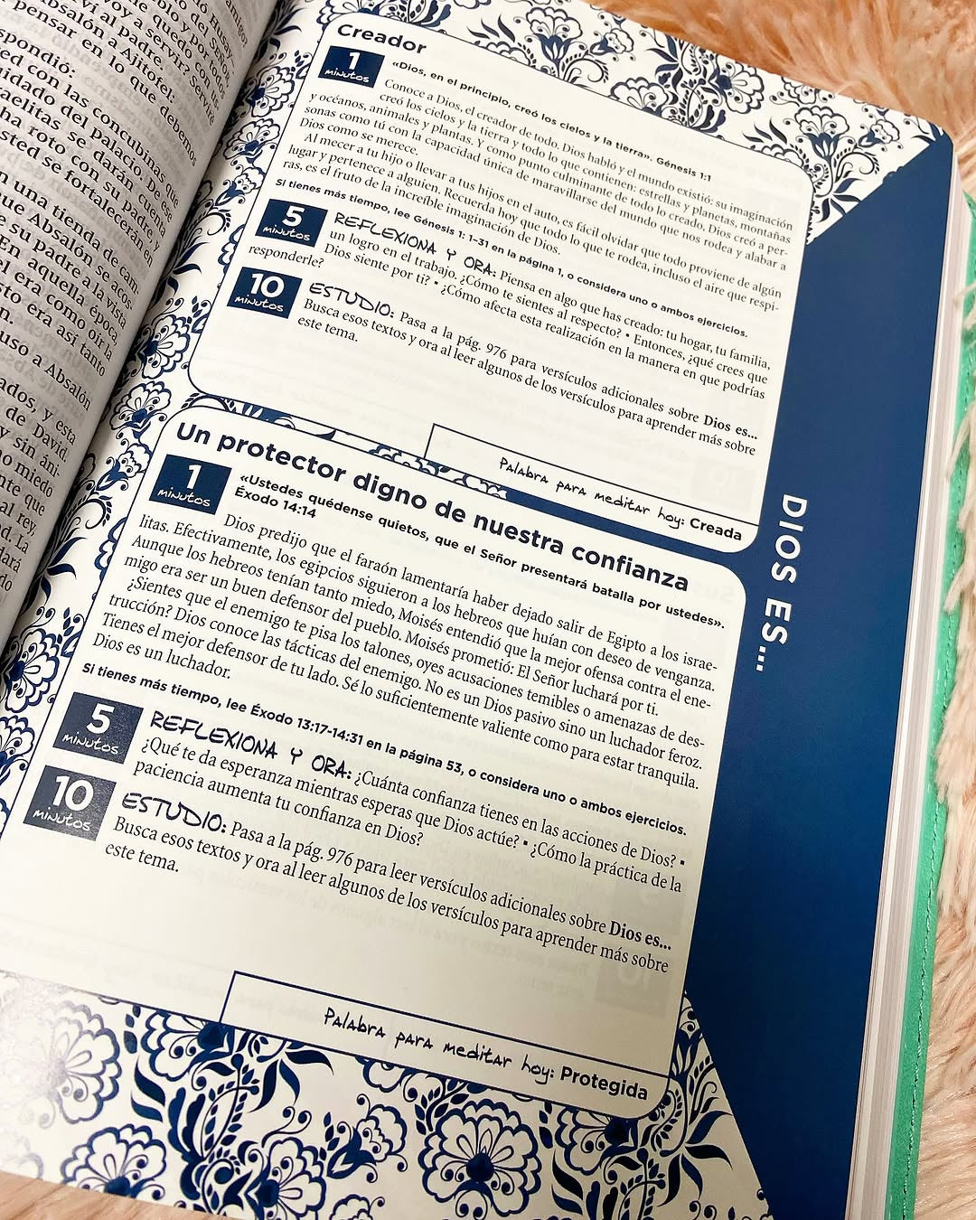 Biblia con devocional versión NVI símil piel canto plateado letra mediana