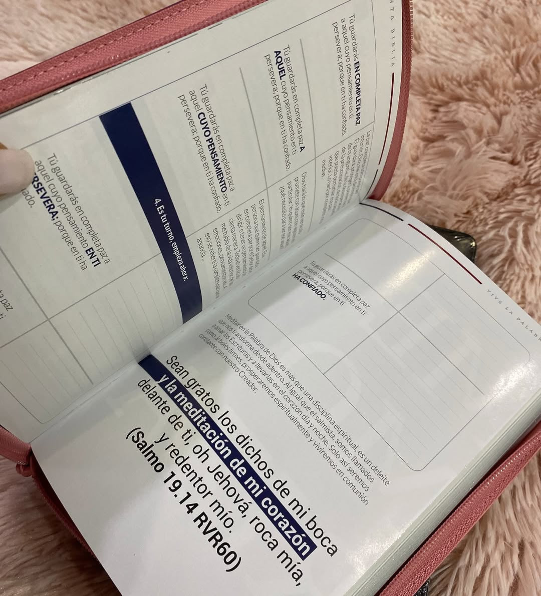 Biblia letra grande versión TLA con cierre canto plateado y estudios bíblicos