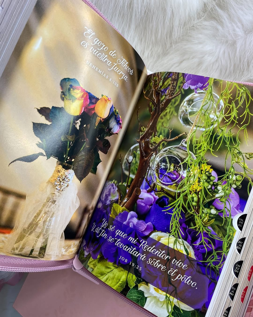 Biblia de quinceañeras en caja para regalos versión RV1960 con cierre índice e ilustrada