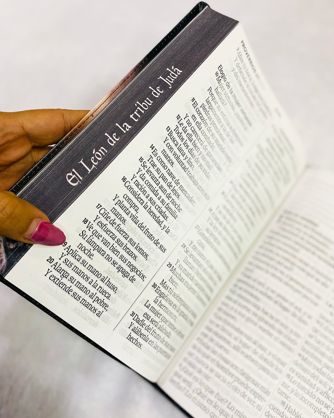 Biblia letra gigante 19 puntos versión 1960 canto pintado con concordancia
