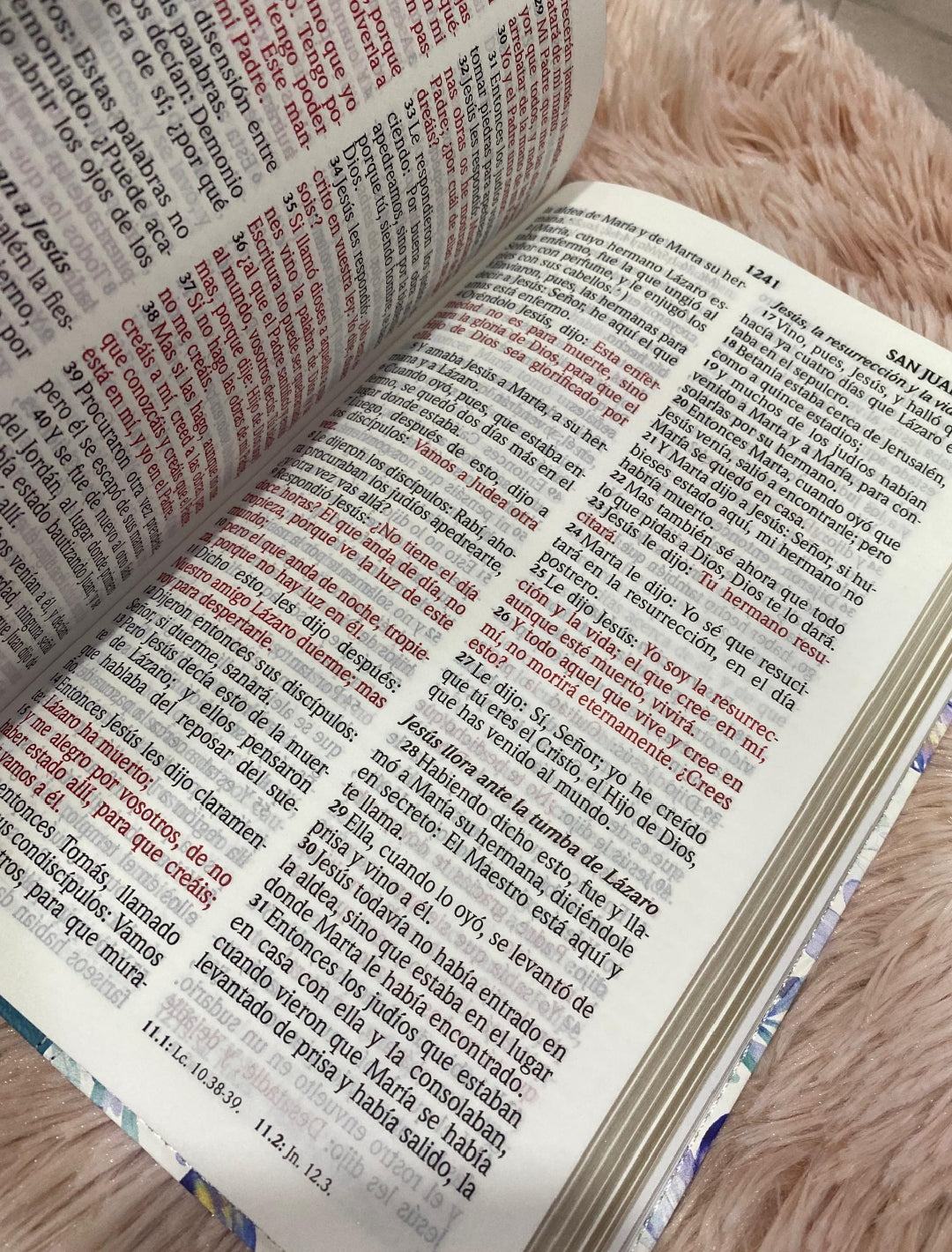 Biblia en símil piel canto dorado letra grande 12 puntos versión RV1960 con concordancia