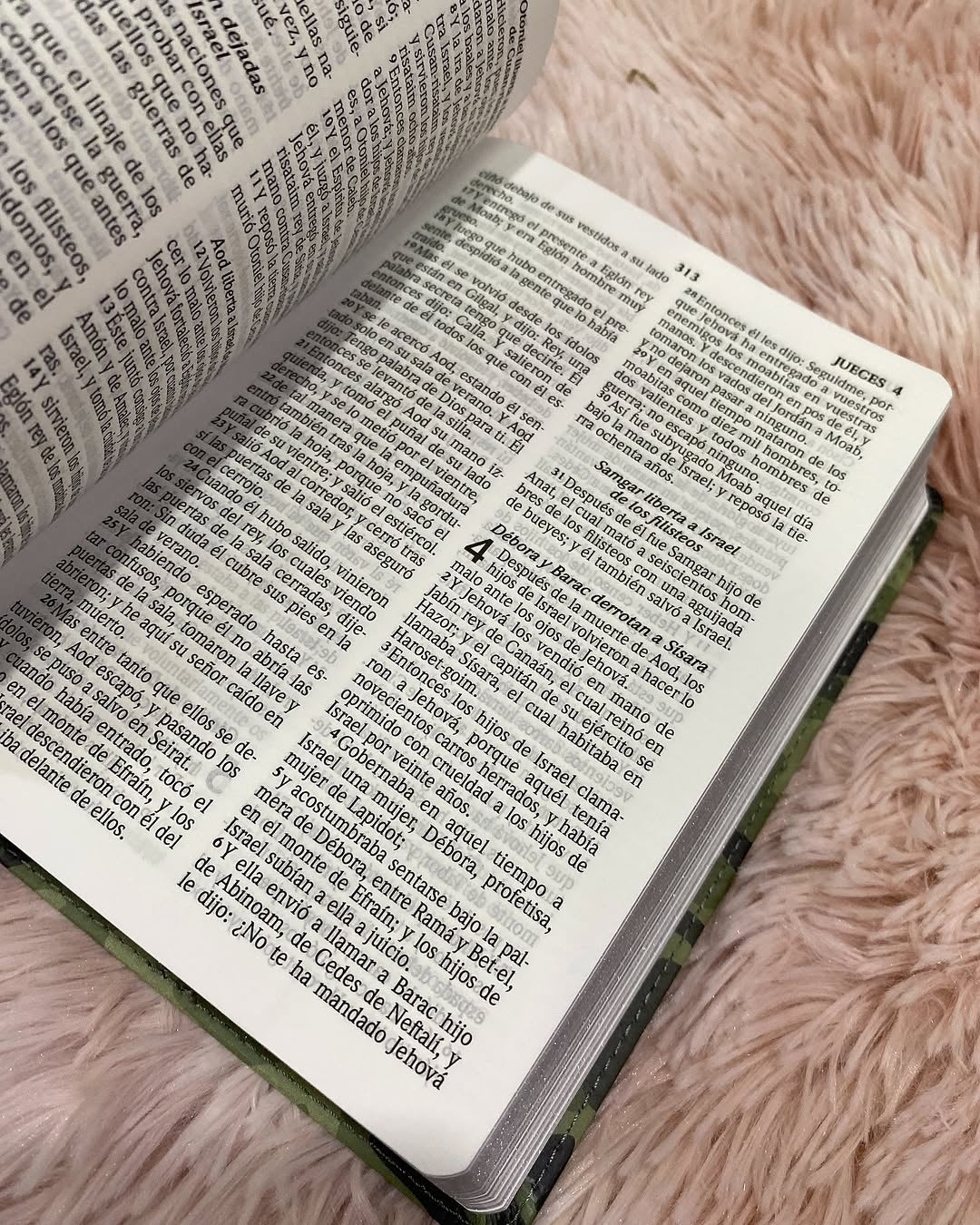 Biblia tamaño mediano letra grande 10 puntos diseño camuflado canto plateado con concordancia