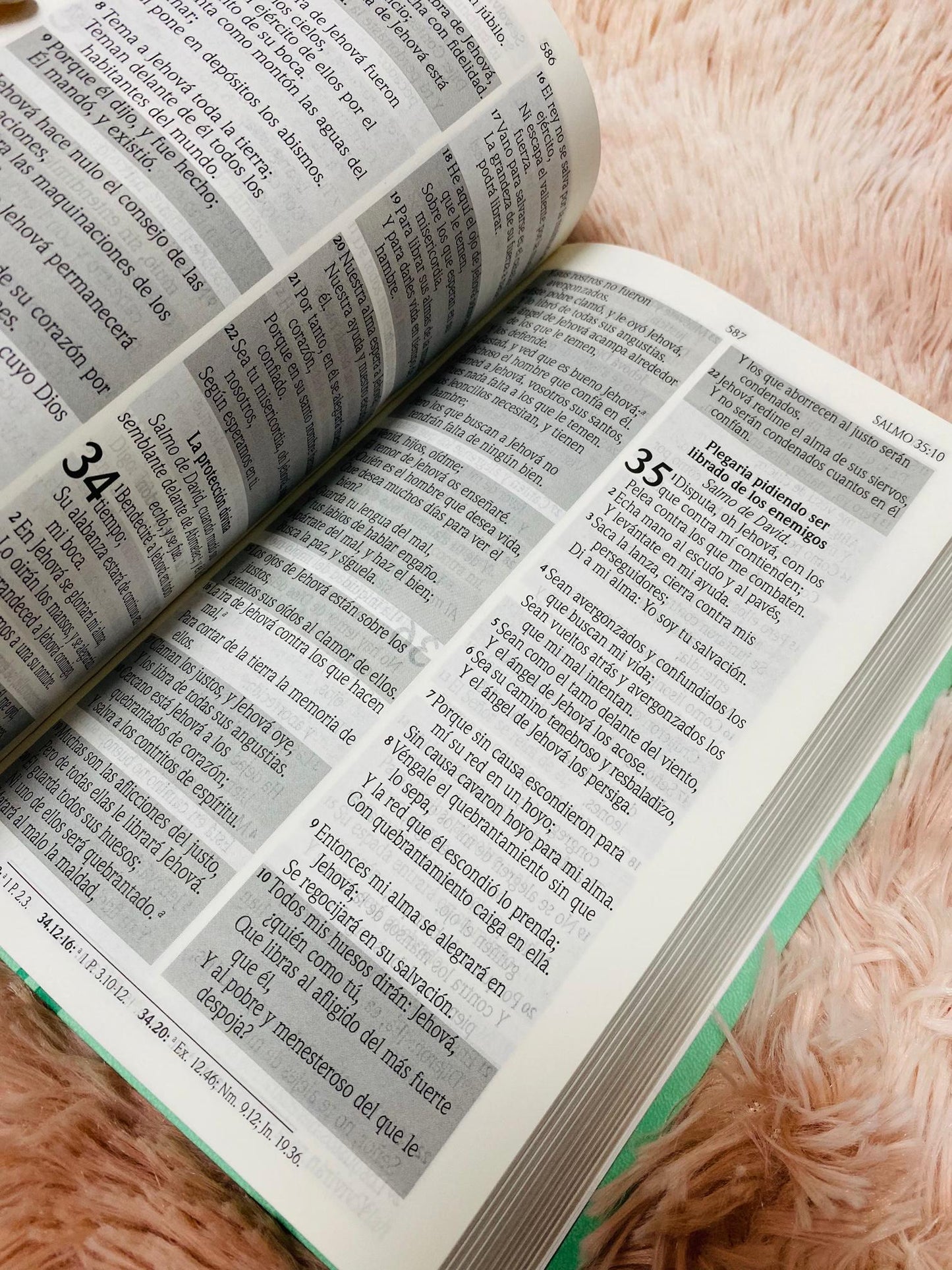 Biblia de promesas letra grande 12 puntos canto plateado versión RV1960