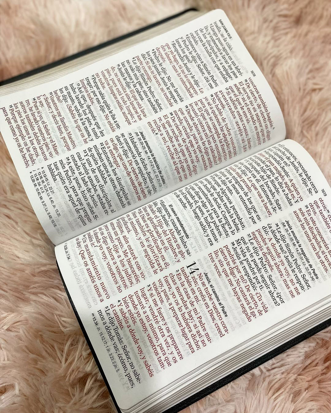 Biblia letra gigante 14 puntos versión RV1960 color negro con canto dorado y concordancia