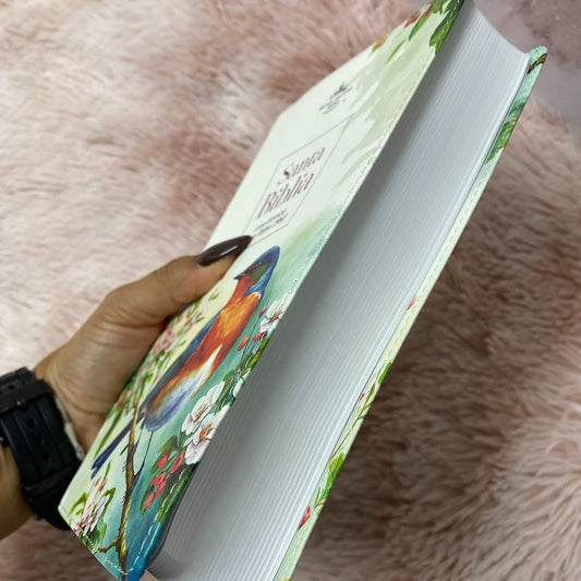 Biblia tamaño manual letra 12 puntos versión RV1960 con concordancia