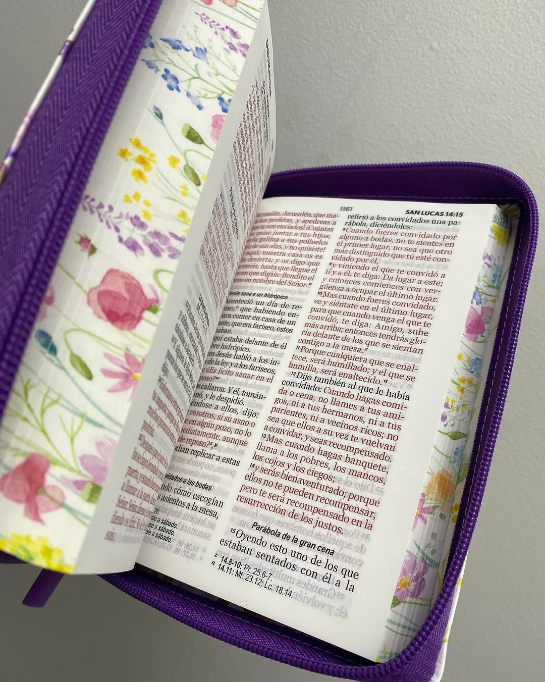 Biblia letra grande 11 puntos versión RV1960 con cierre y canto floreado