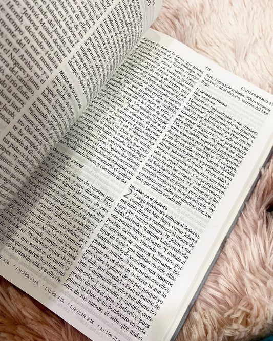 Biblia tapa dura león de Judá letra grande 10 puntos versión RV1960 con concordancia