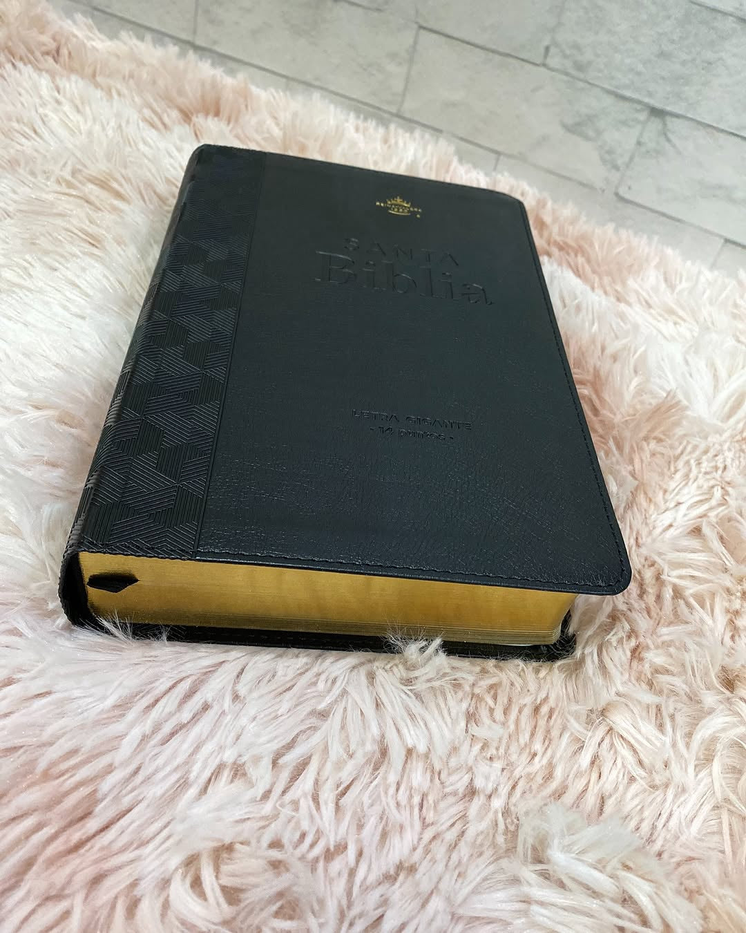 Biblia letra gigante 14 puntos versión RV1960 color negro con canto dorado y concordancia