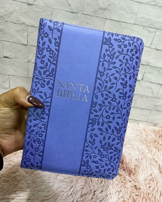 Biblia letra grande 12 puntos tamaño manual versión RV1960 con índice y cierre