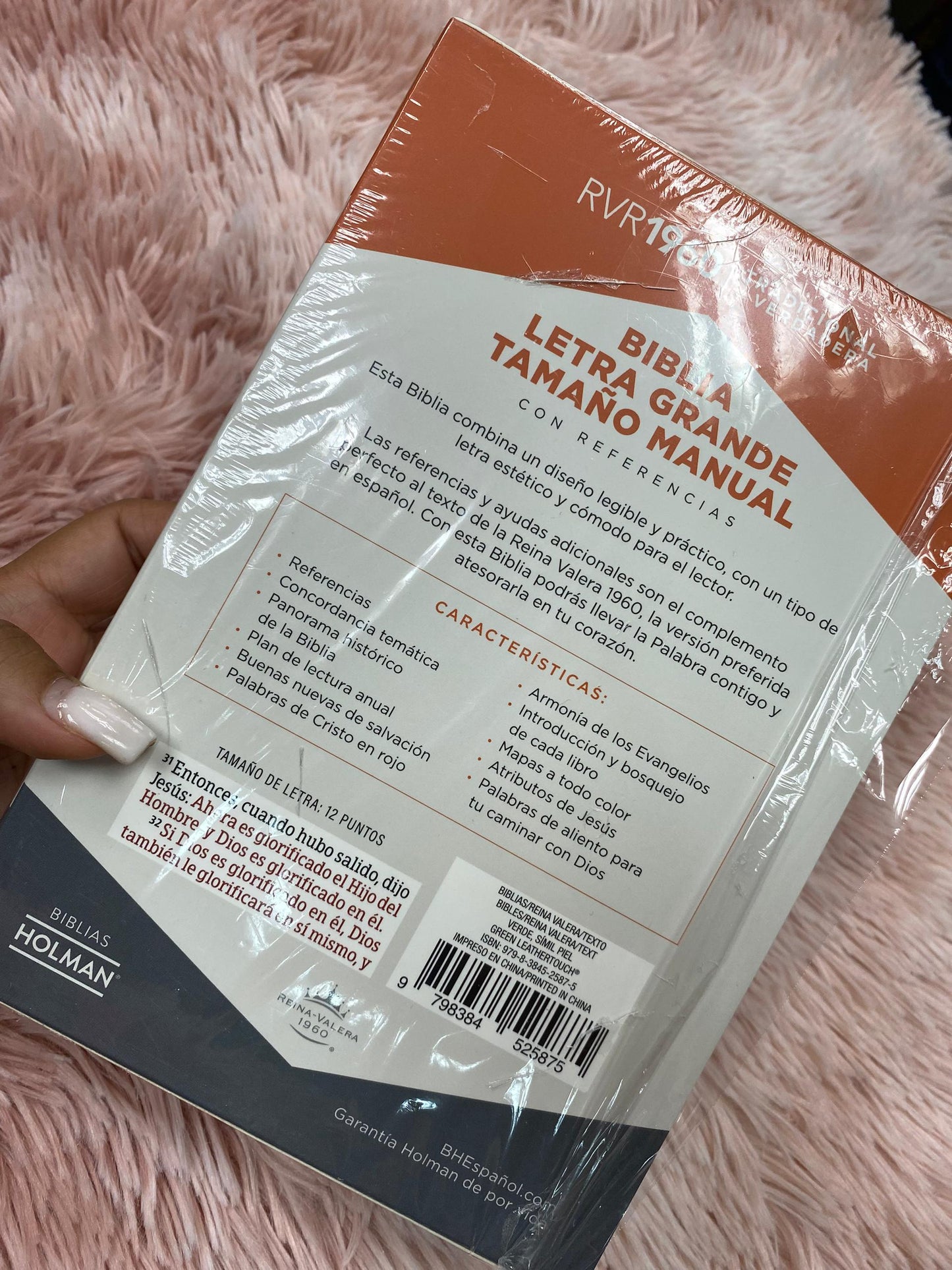 Biblia letra grande símil piel versión RV1960 con concordancia