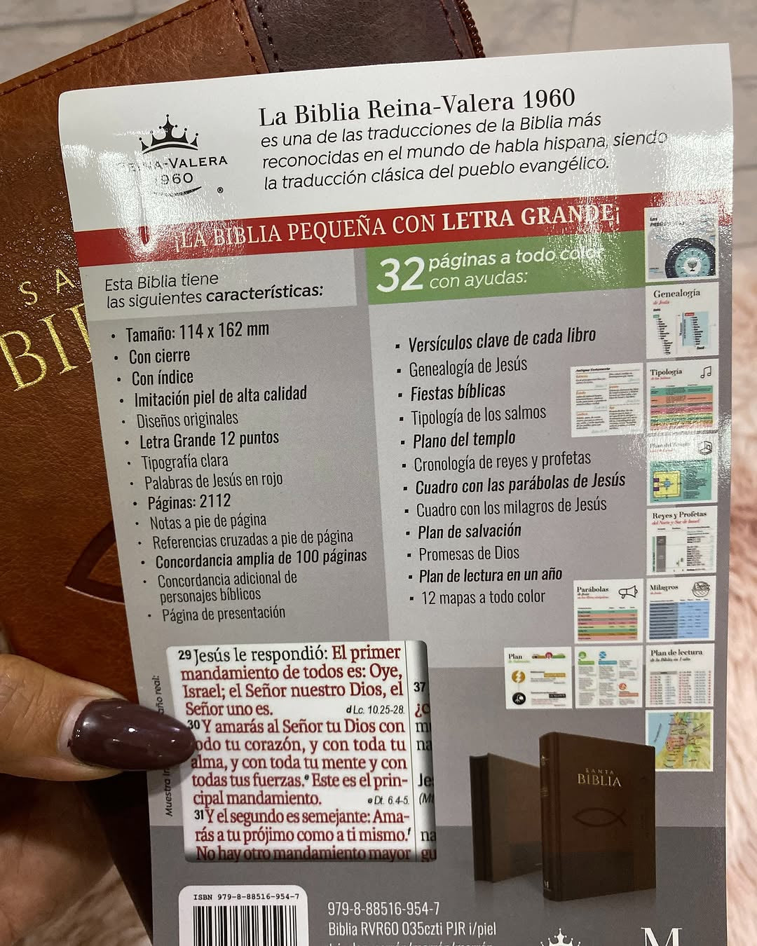 Biblia mediana letra grande 12 puntos versión RV1960 color marrón con cierre e índice canto dorado
