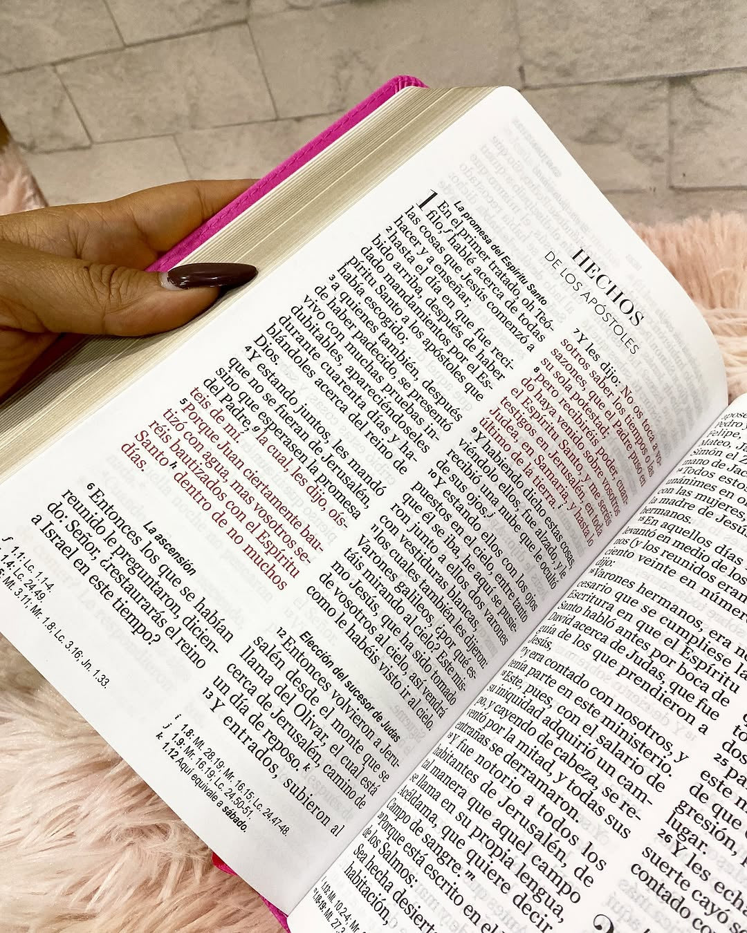 Biblia letra gigante 14 puntos versión RV1960 color fucsia con concordancia