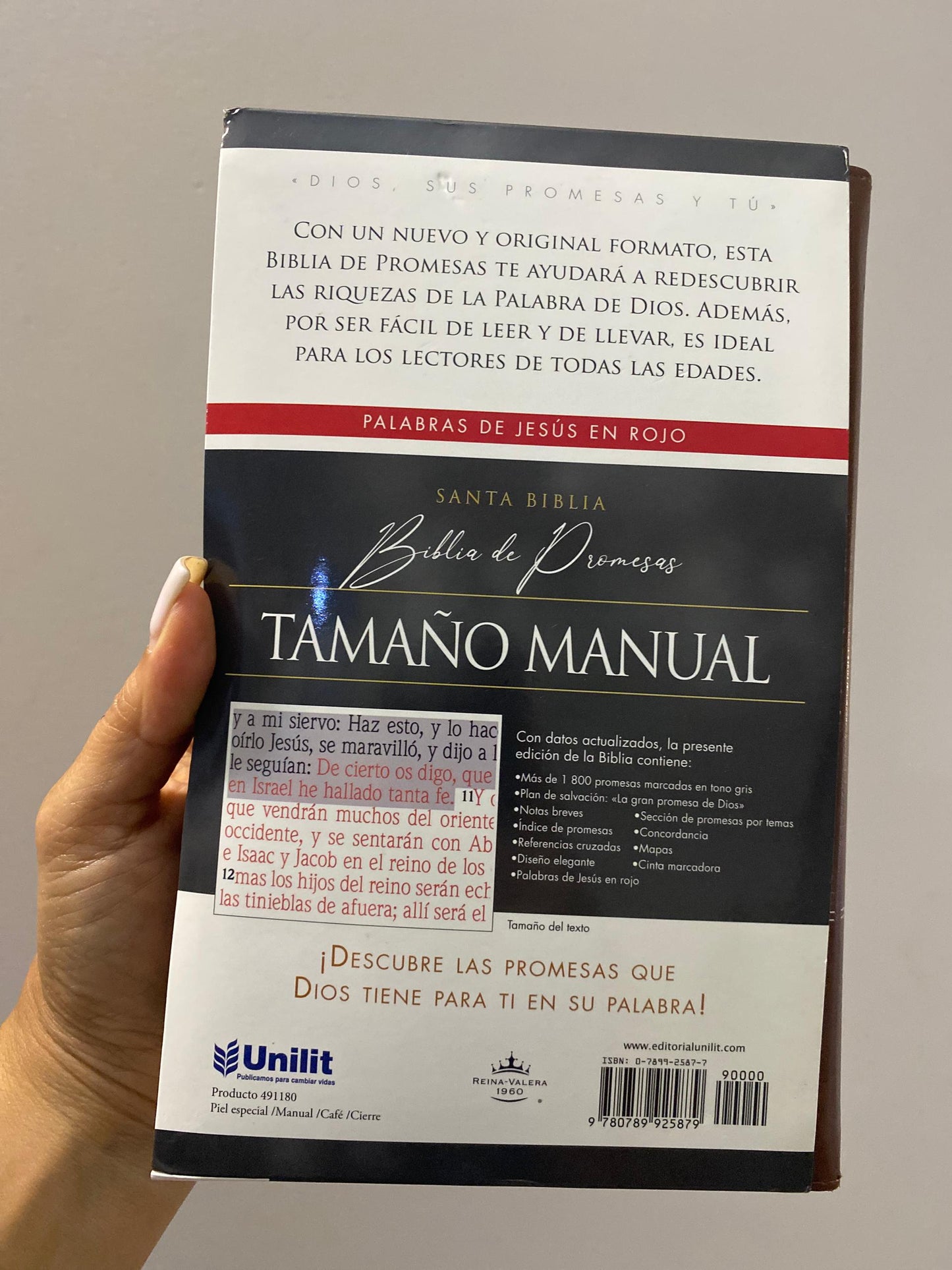 Biblia símil piel edición promesas con cierre canto dorado versión RV1960 letra grande 12 puntos con concordancia