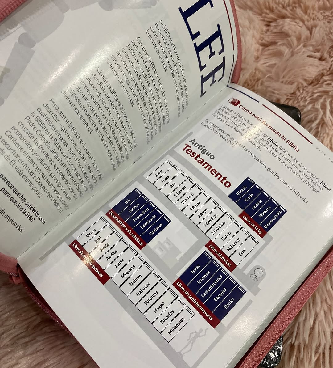 Biblia letra grande versión TLA con cierre canto plateado y estudios bíblicos