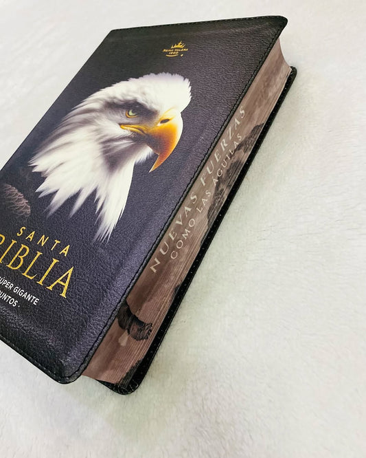 Biblia letra gigante 19 puntos versión RV1960 canto pintado con concordancia
