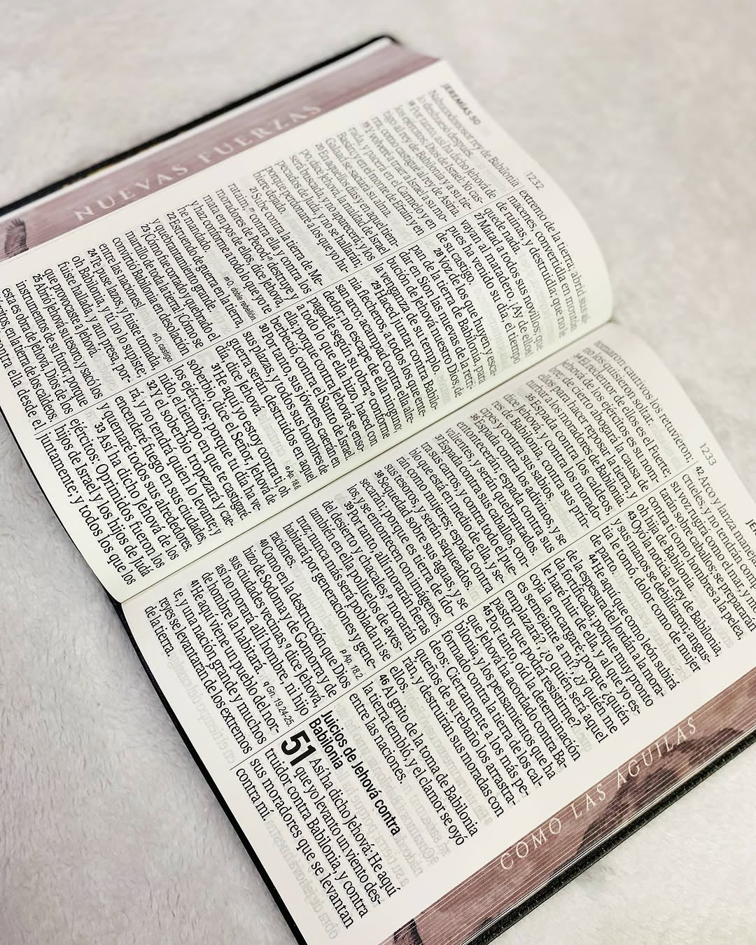 Biblia letra gigante 19 puntos versión 1960 canto pintado con concordancia