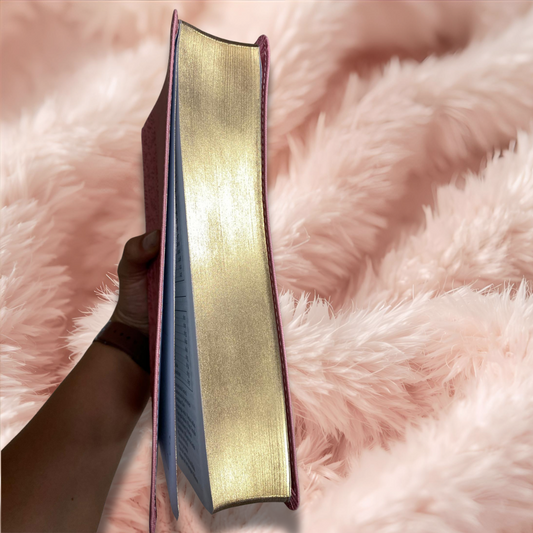 Biblia letra gigante 19 puntos en versión RV60 con canto dorado y concordancia