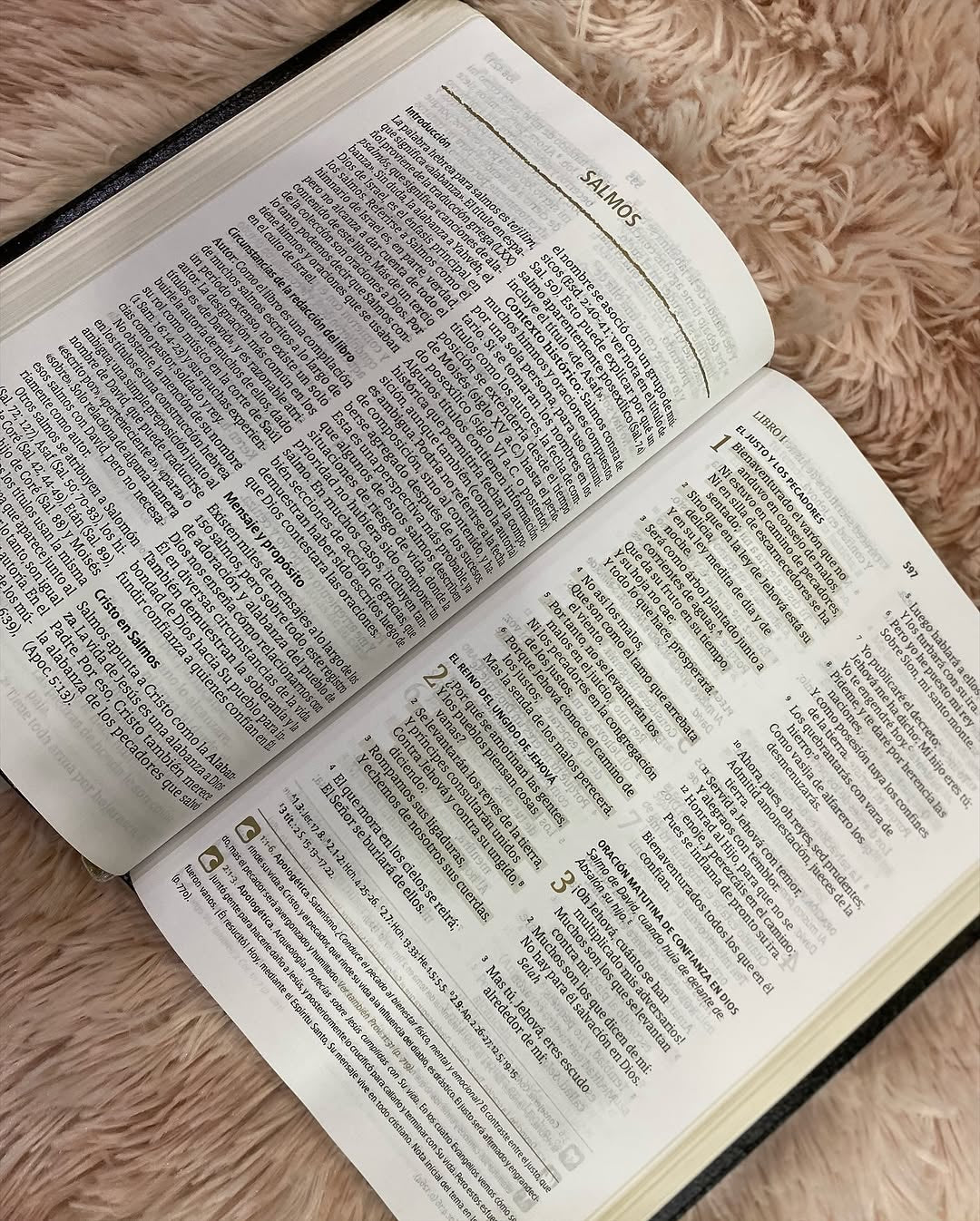 Biblia del pescador edición liderazgo símil piel color negro canto dorado versión RV1960