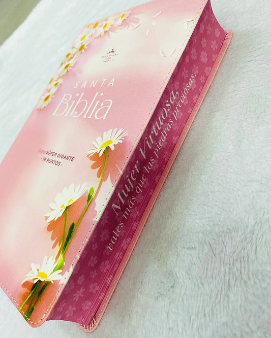 Biblia letra gigante 19 puntos versión RV1960 canto pintado con concordancia
