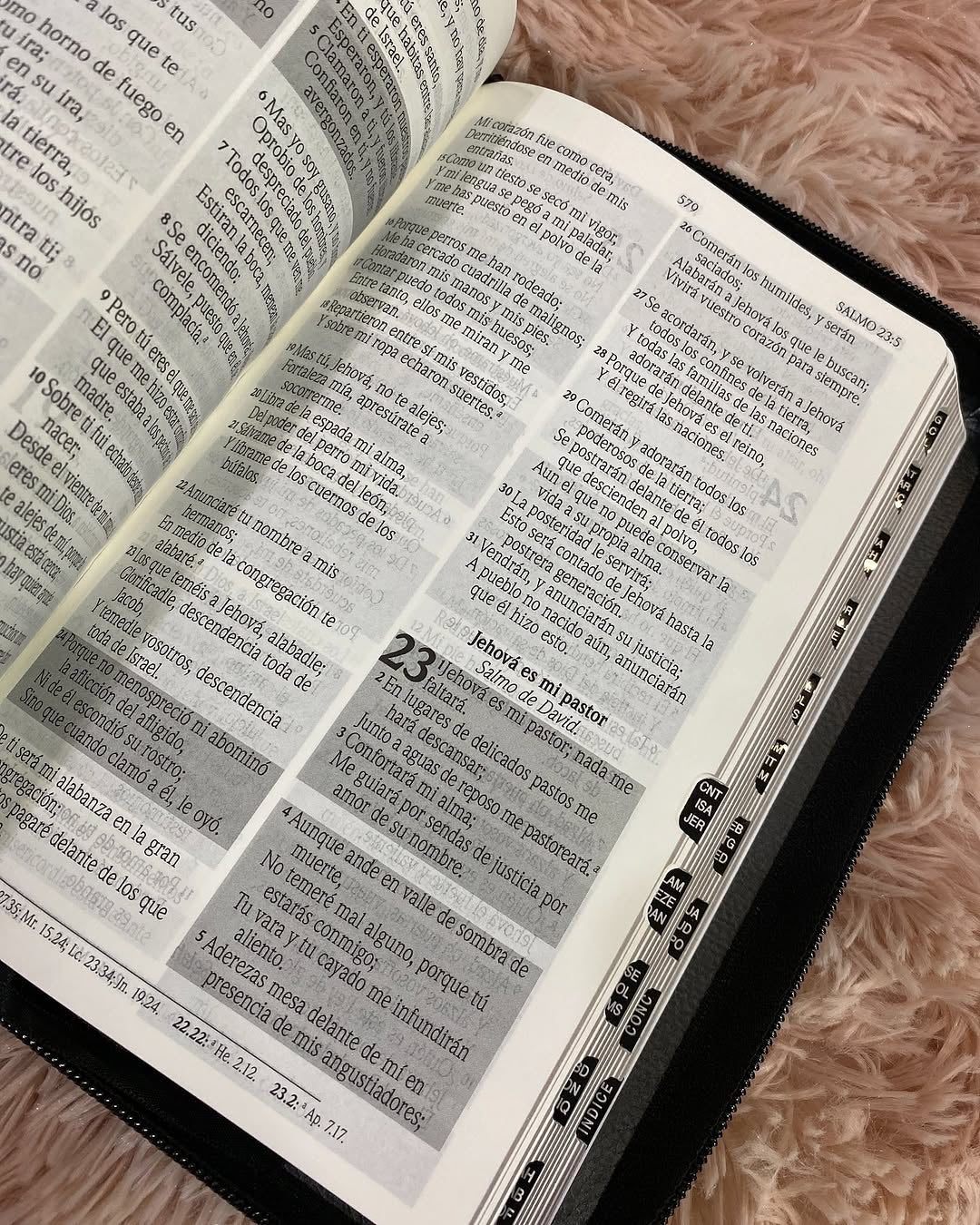 Biblia en símil piel edición promesas con índice y cierre palabras de Jesús en rojo versión RV1960 con concordancia